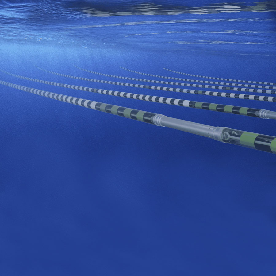 eXtreamer Seismic Streamer