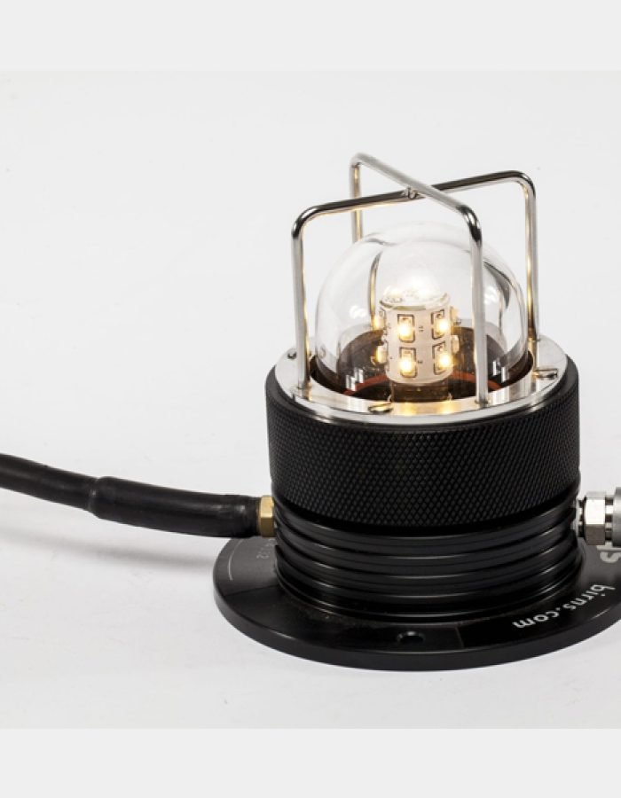 BIRNS General-Area Chamber Light-LED™