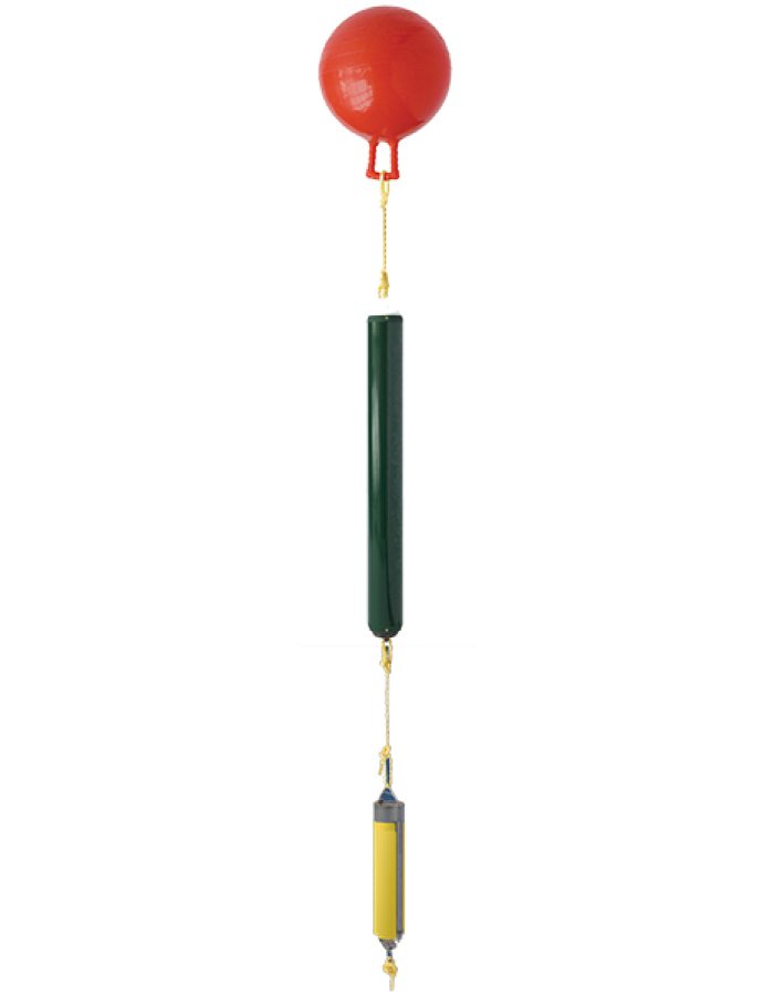 SubSea Sentinel